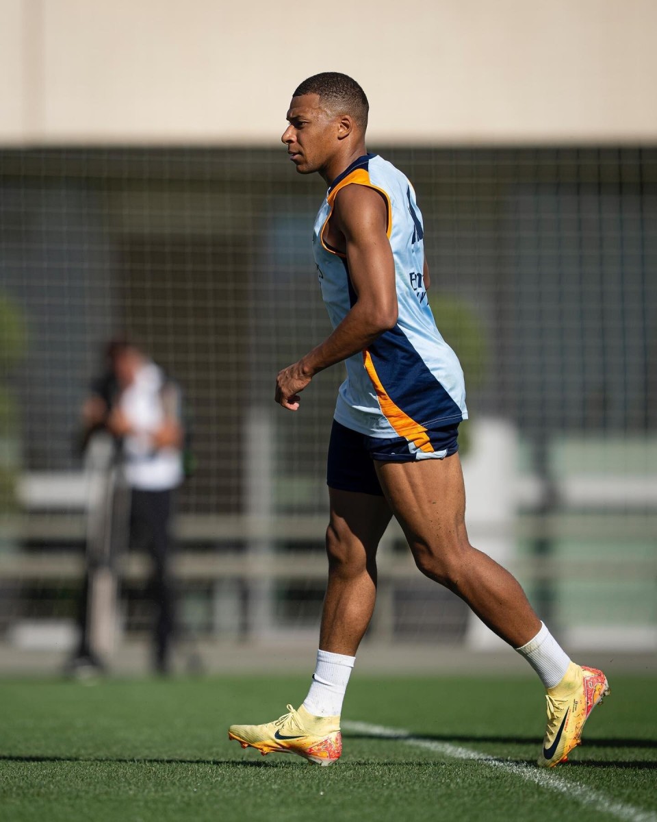 合同条款预 合同条款预