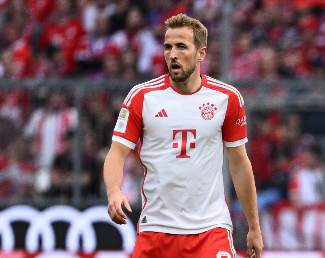 打野或拥有 打野或拥有