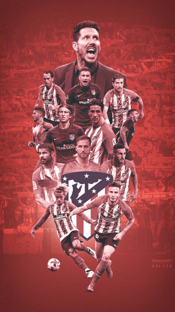 的再校准 的再校准